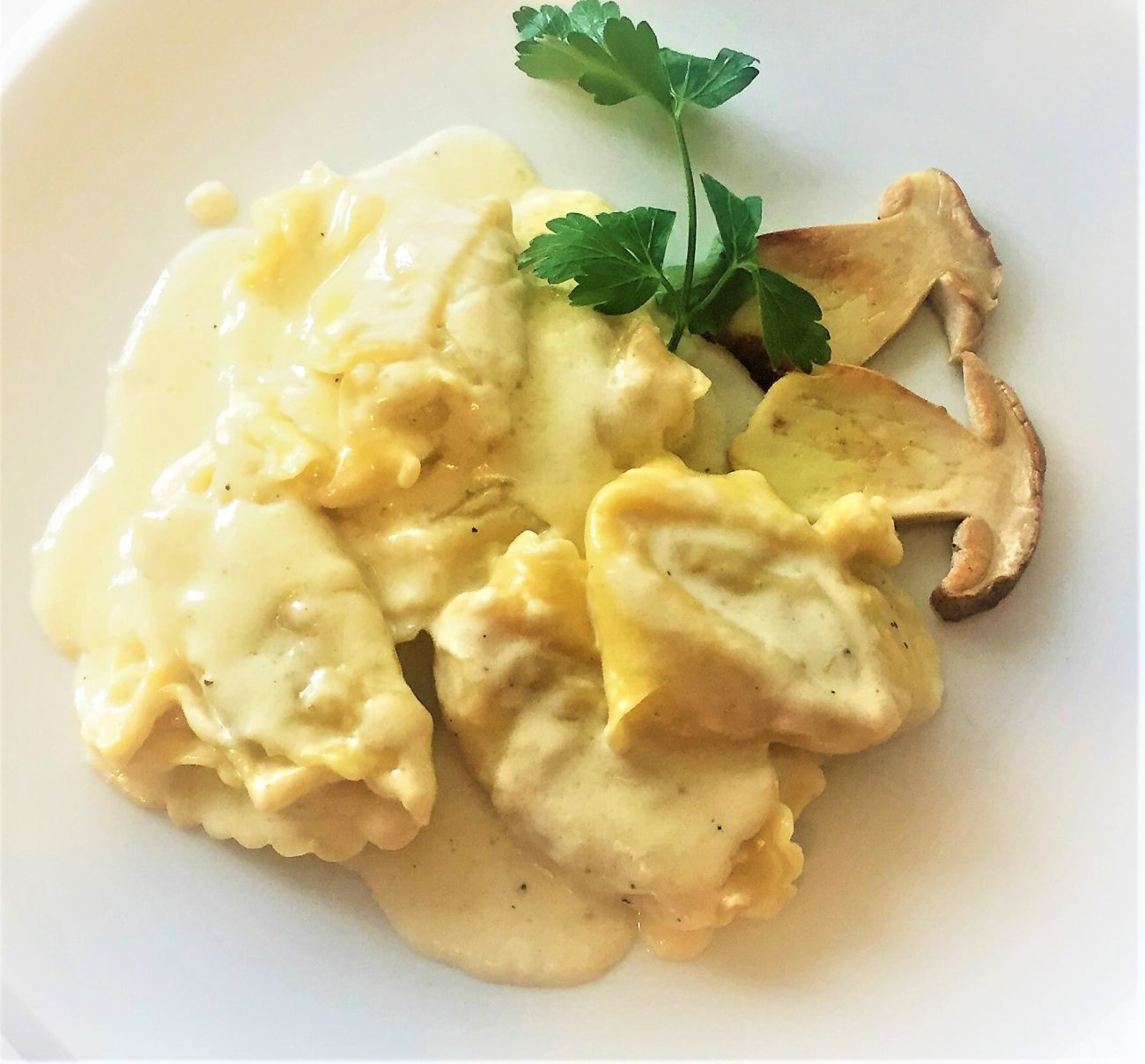 Tortelloni di porcino con crema di parmigiano reggiano