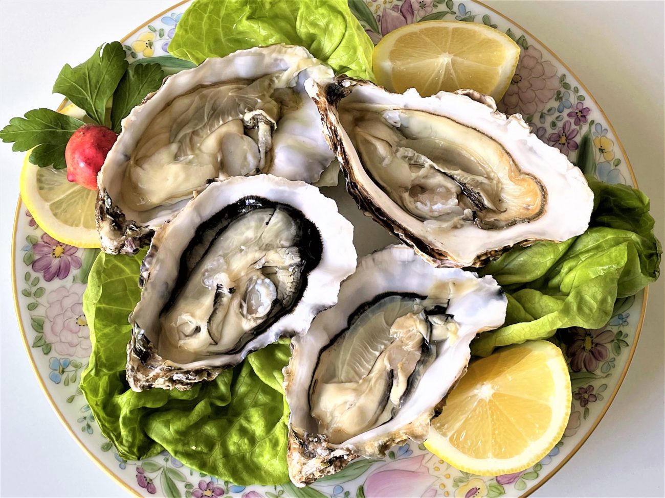 Le ostriche