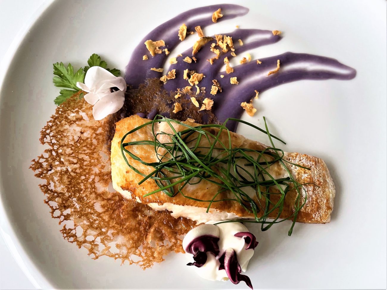 Filetto di pesce persico con purè di cavolo viola