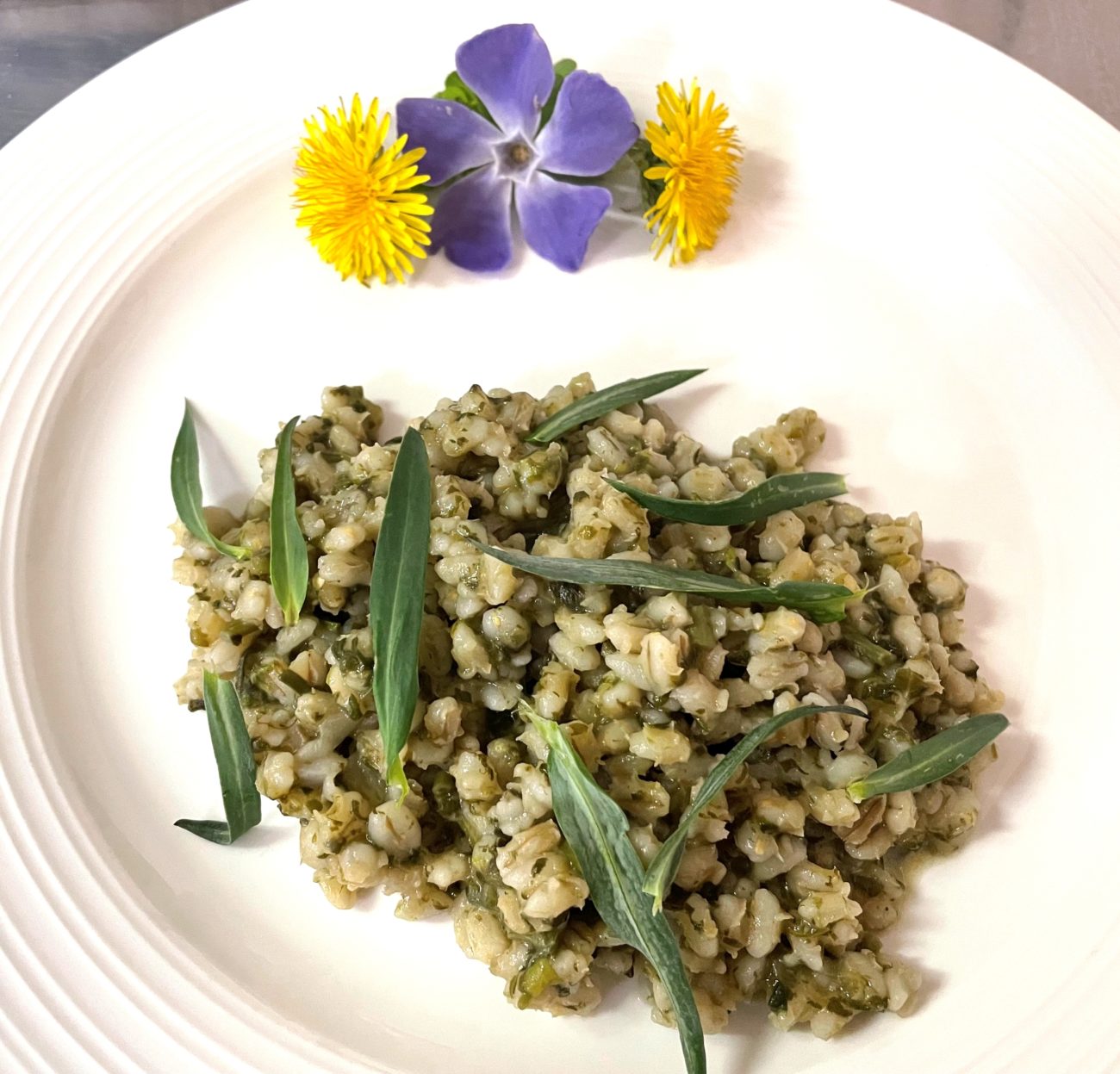 Orzotto con silene