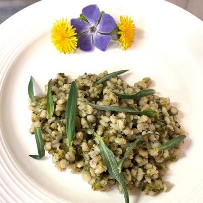 Orzotto con selene